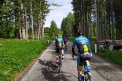 Viotte sul Monte Bondone